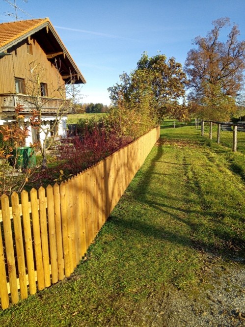 Heller Holzzaun als Grundstücksabgrenzung und Pflanzen als Sichtschutzelement